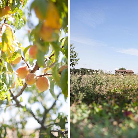 Agriturismo Il Mondo Guest House Parma Luaran gambar