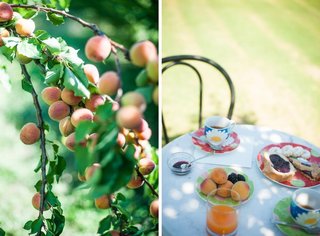 Agriturismo Il Mondo Guest House Parma Luaran gambar