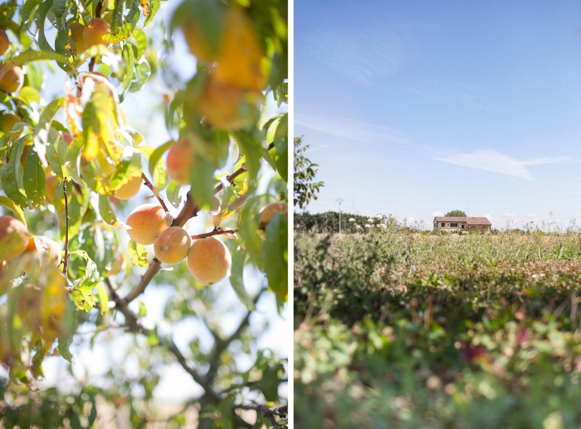 Agriturismo Il Mondo Guest House Parma Luaran gambar