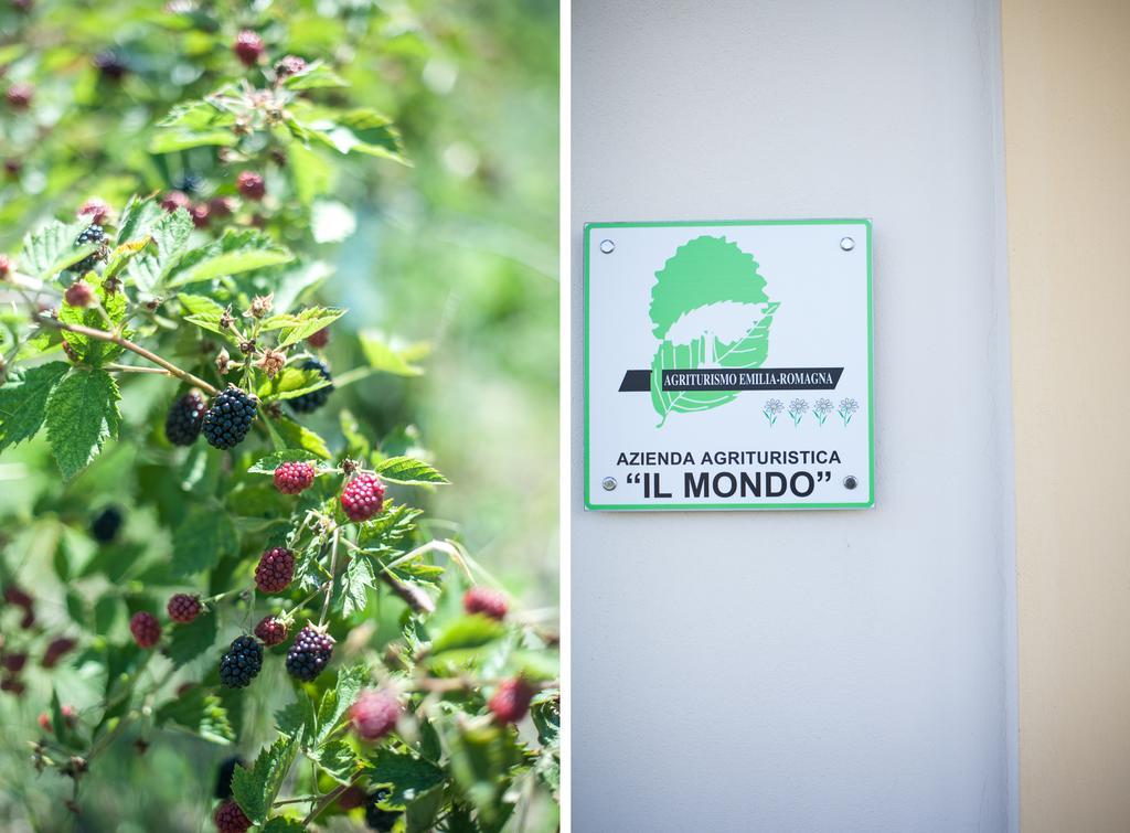 Agriturismo Il Mondo Guest House Parma Luaran gambar
